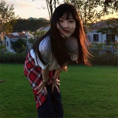幻乐森林